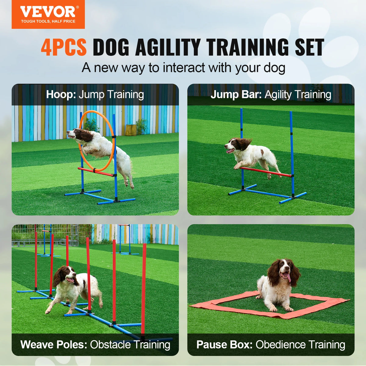 SucceBuy Four-Piece Dog Agility Training Set