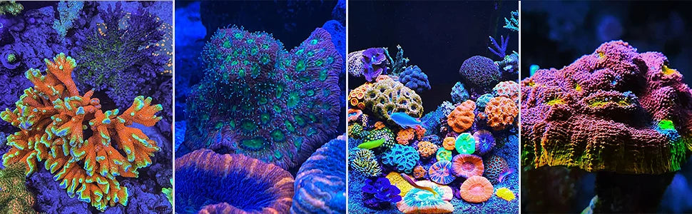 PopBloom RL90 WiFi Reef Aquarium LED Light
