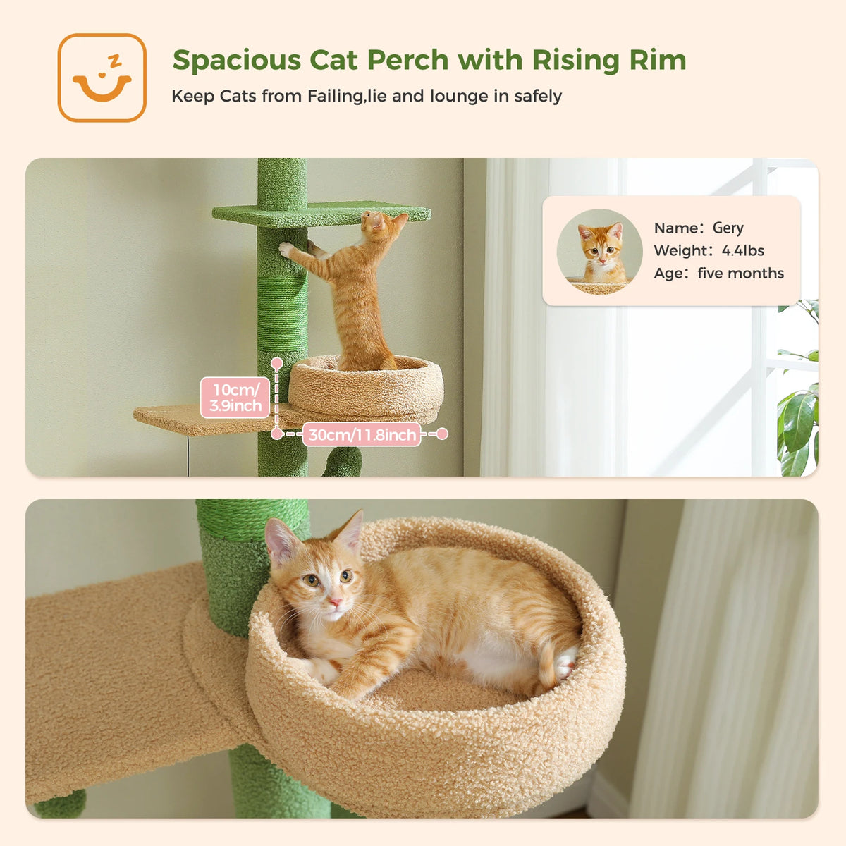 Cactus Cat Tree Floor to Ceiling Cat Tower with Sisal Scratching Post,Comfortable Hammock for Multi-Cat Homes,Cat Accessories Whispering Desires Shoppe