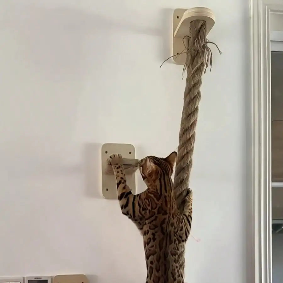 Wall-Mounted Sisal Cat Scratching Rope