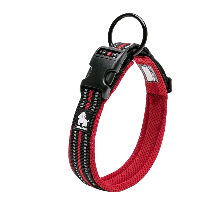 Winhyepet Padded Nylon Dog Collar