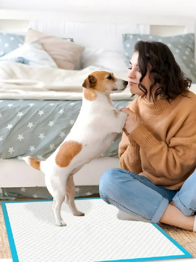 Disposable Dog Training Pads