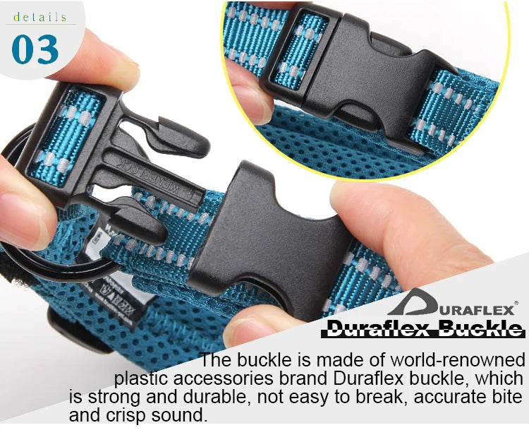 Winhyepet Padded Nylon Dog Collar
