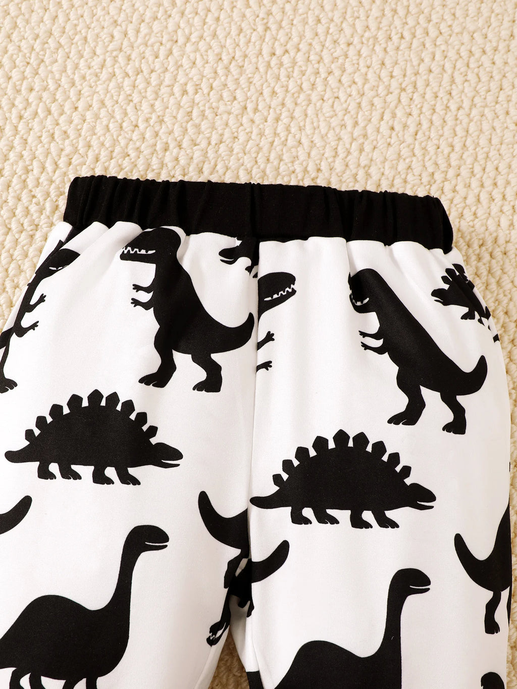 Baby Dinosaur-Print Hooded Top and Pants Set