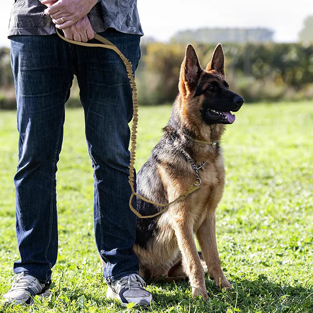 PETRAVEL Adjustable Nylon Dog Leash with Two Handles