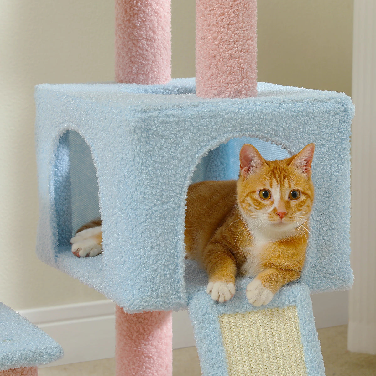 120cm Flower Cat Tree with Condo & Scratching Posts
