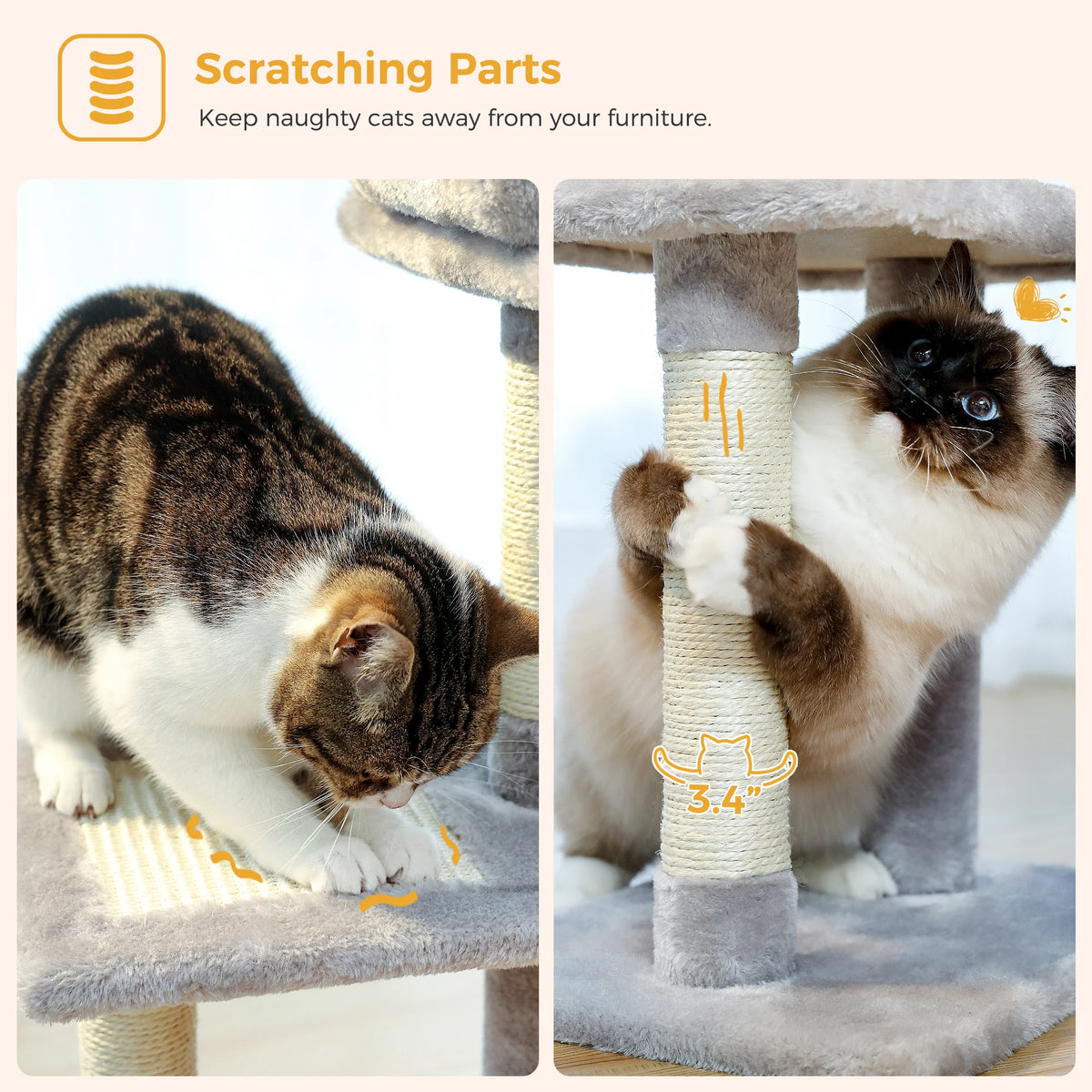 Compact Cat Tree with Removable Perch & Hammock
