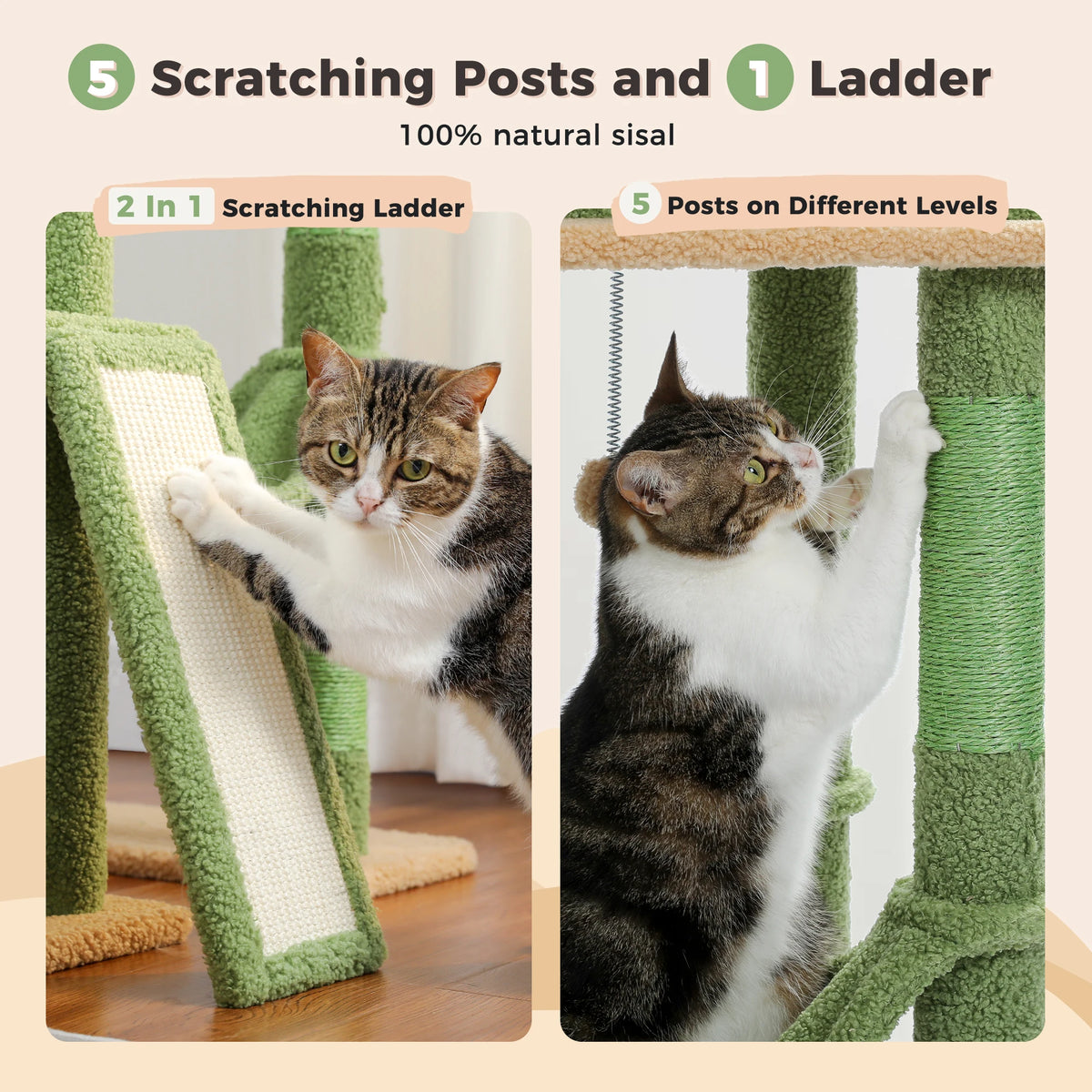 Cactus Cat Tree Floor to Ceiling Cat Tower with Sisal Scratching Post,Comfortable Hammock for Multi-Cat Homes,Cat Accessories Whispering Desires Shoppe