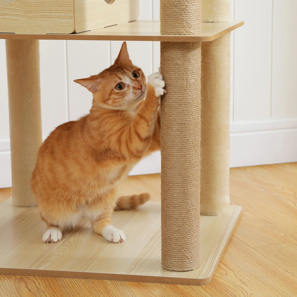 Multi-Level Wooden Cat Tree with Condo & Hammock