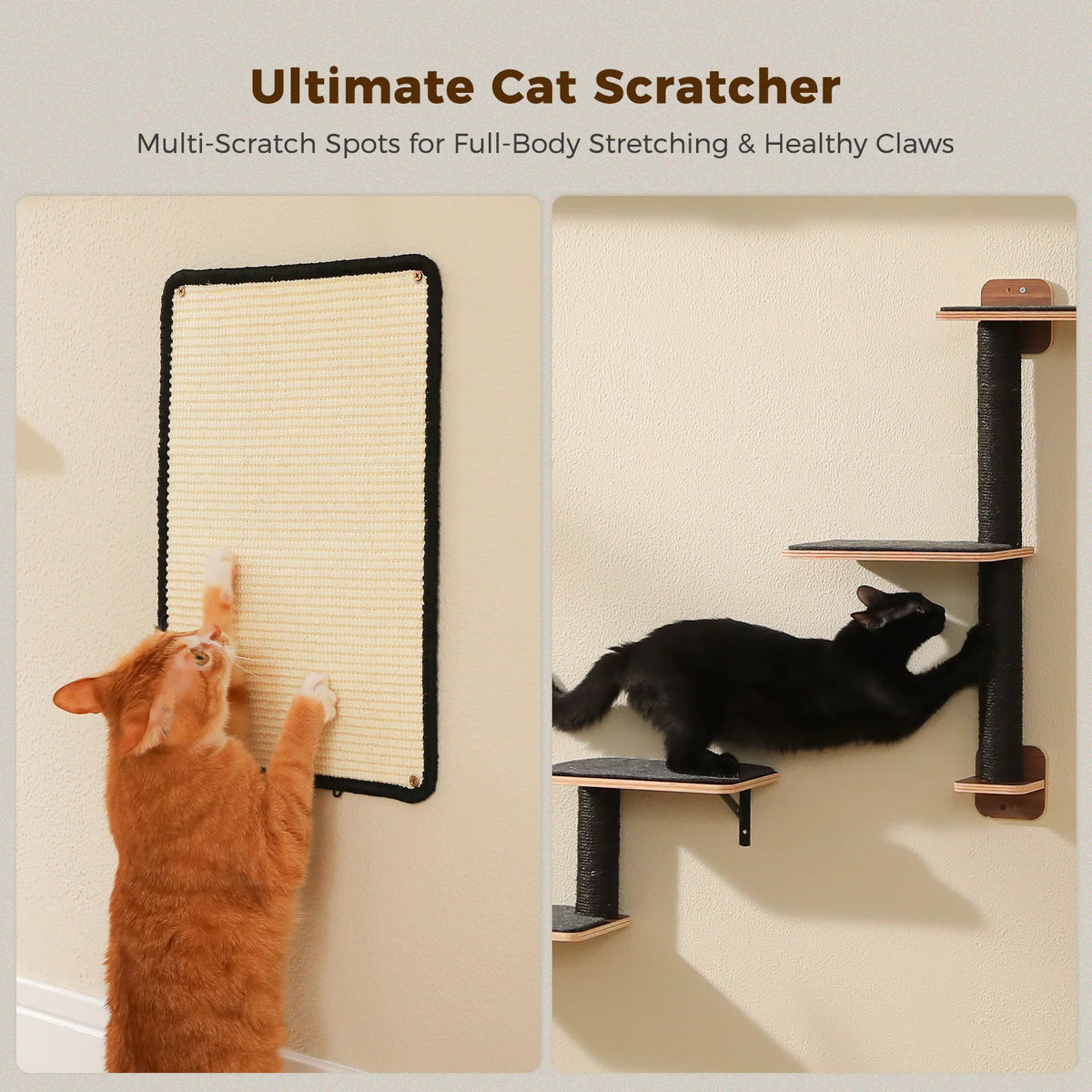 PAWZ Road Five-in-One Wall-Mounted Cat Climbing Set