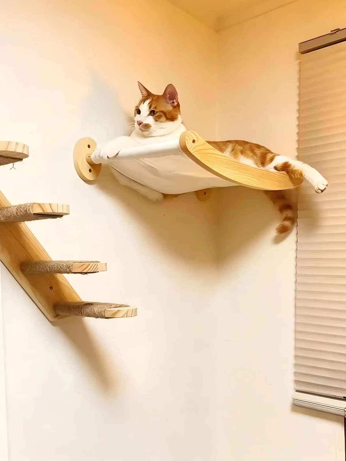 Wall-Mounted Cat Hammock & Climbing Stairs
