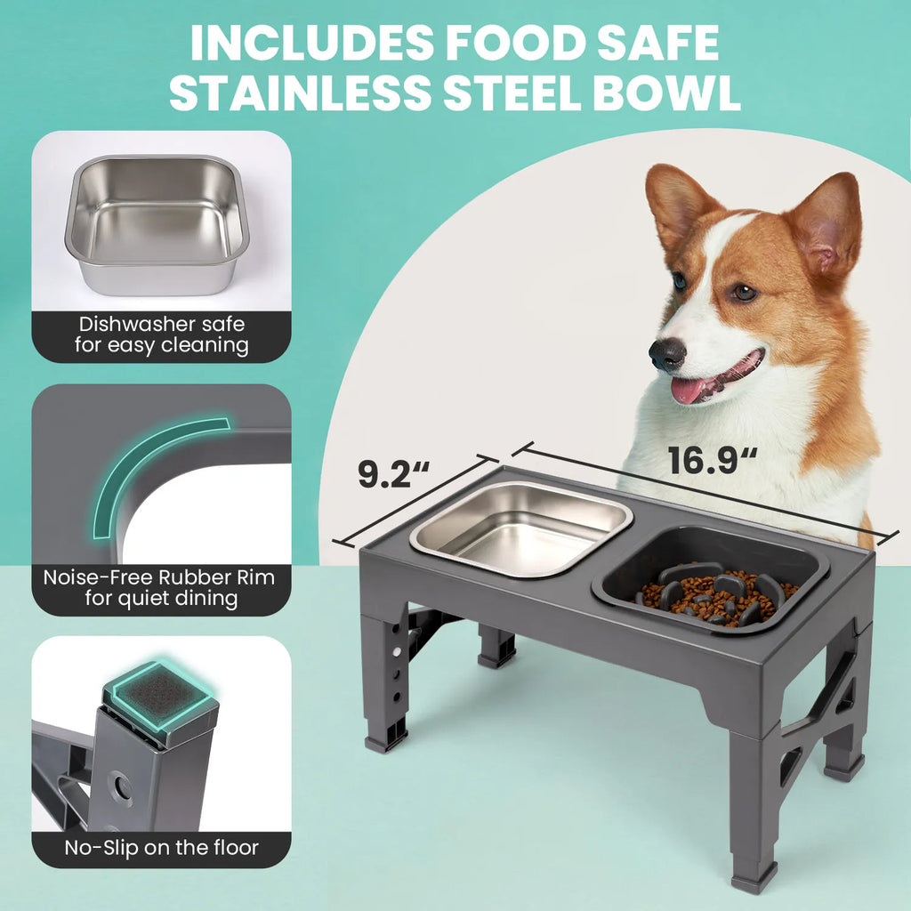 Adjustable Elevated Slow Feeder & Water Bowl Stand
