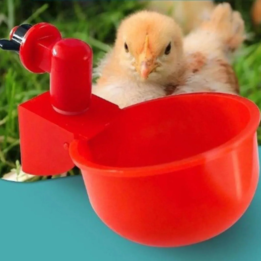 Automatic Poultry Drinking Cup for Chickens & Ducks