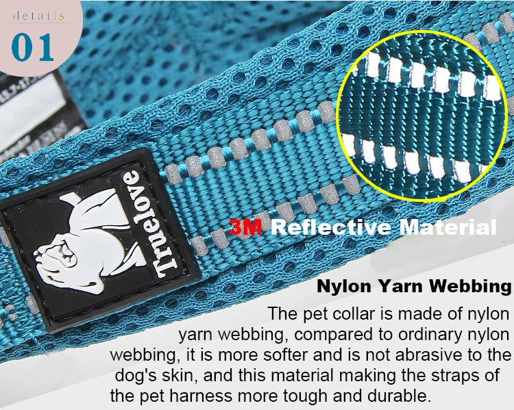 Winhyepet Padded Nylon Dog Collar