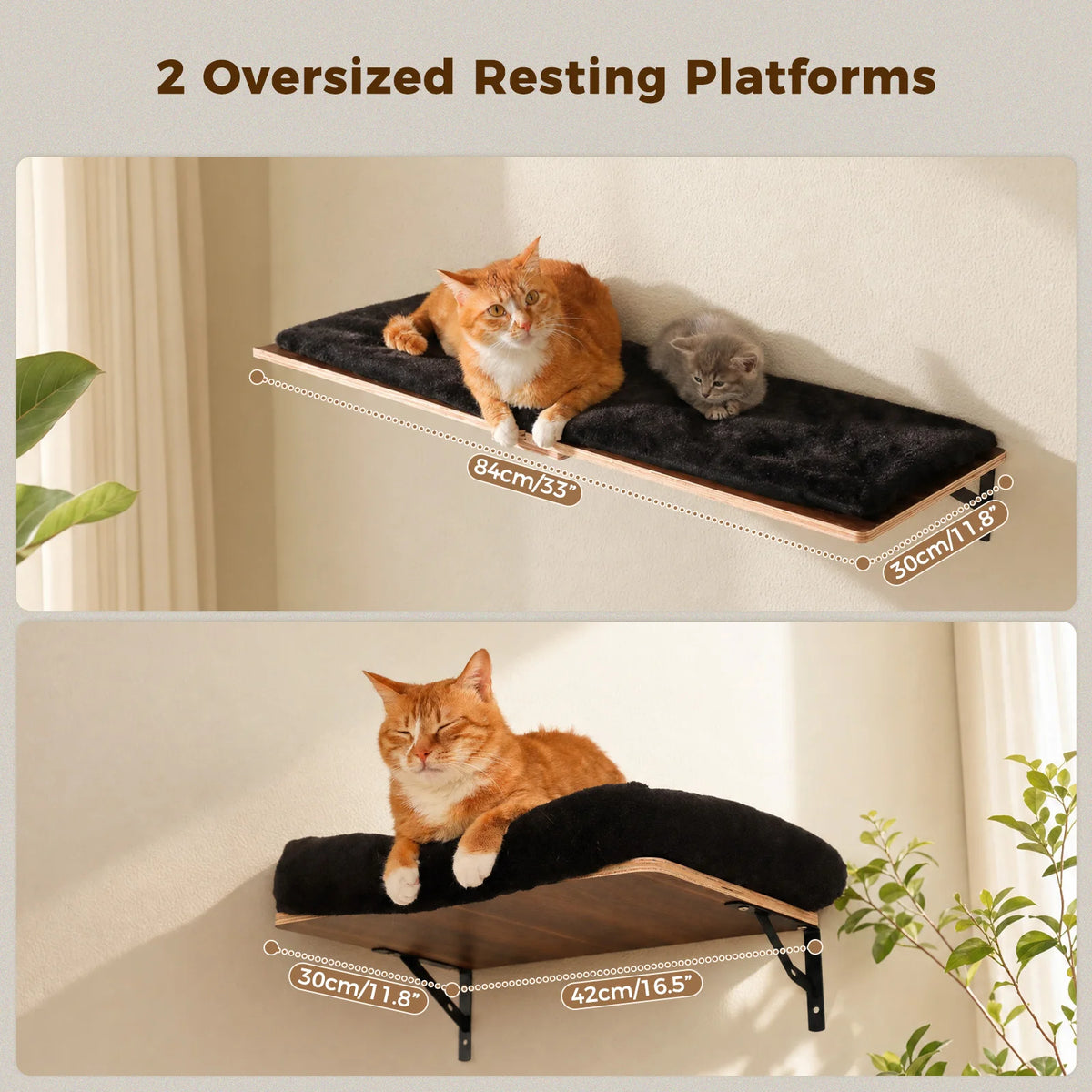 PAWZ Road Five-in-One Wall-Mounted Cat Climbing Set