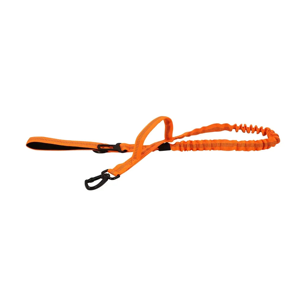 PETRAVEL Adjustable Nylon Dog Leash with Two Handles